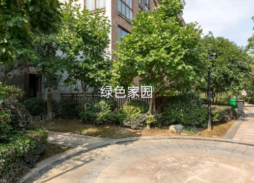 紹興市綠澤家園房產(chǎn)信息咨詢服務(wù)部 您的專業(yè)房產(chǎn)信息咨詢伙伴